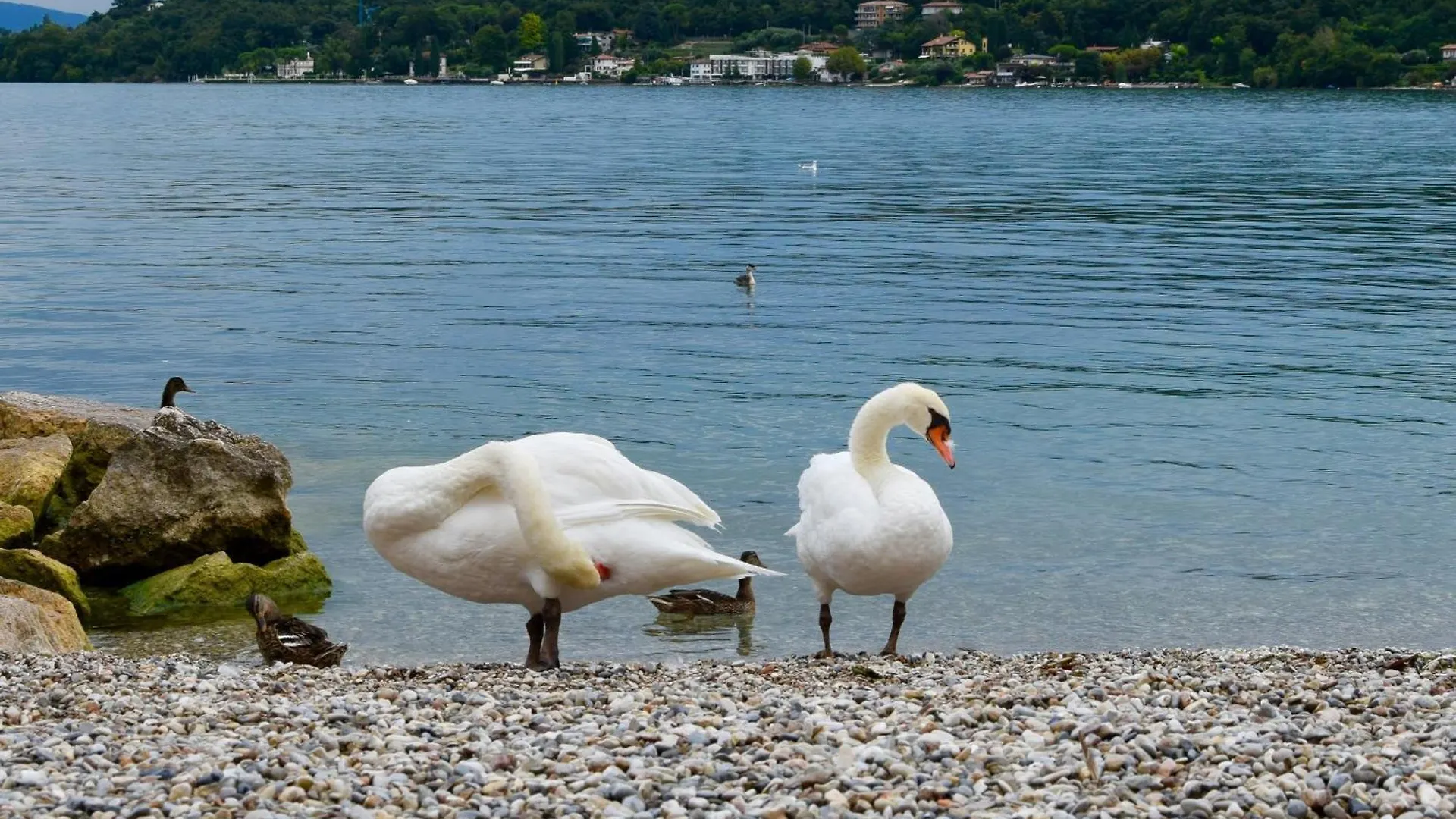 Villa Donne Del Lago Veronica Elsa Salò Itálie
